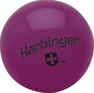 1 lb. Weighted Fitness Ball